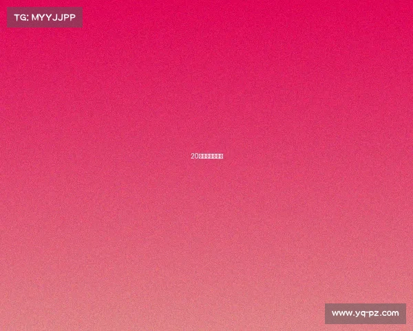 20日女排比赛时间